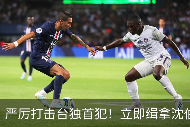 严厉打击台独首犯！立即缉拿沈伯洋！